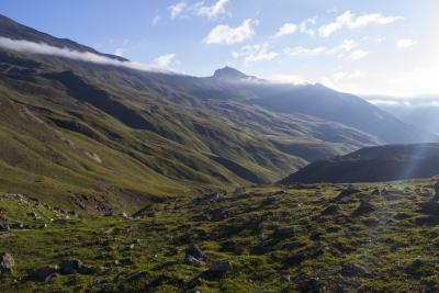 Прикрепленное изображение: DSC_0218.jpg